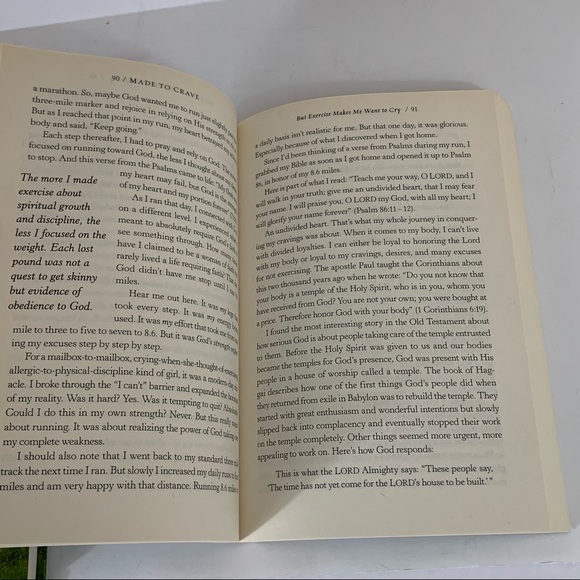 Made to Crave Book, Study Guide that includes DVD by Lisa Terkeurst - Picture 7 of 11